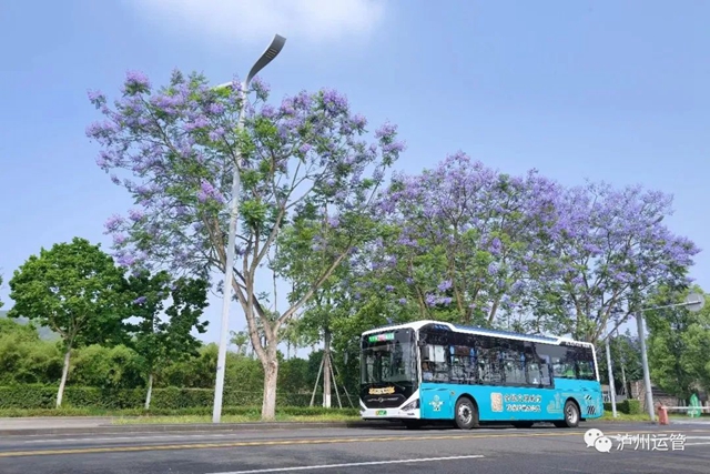 去泸州市政务服务中心新址坐哪路车？6条公交线路可直达！