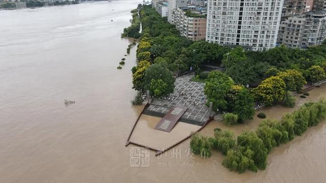 中共泸州市委书记刘强对防汛减灾工作作了紧急安排 应对两江洪峰过境泸州(图4) 中共泸州市委书记刘强对防汛减灾工作作了紧急安排 应对两江洪峰过境泸州(图4)