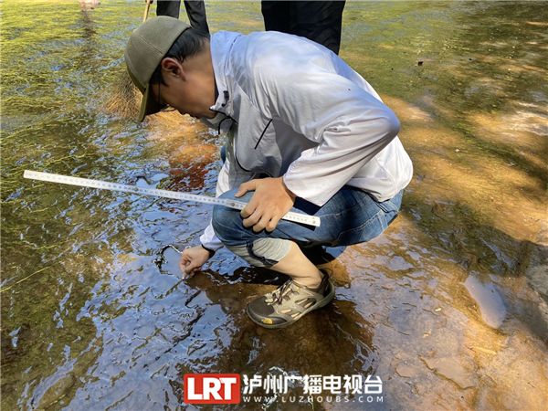 “恐龙”教授邢立达抵泸 考察古蔺恐龙足迹