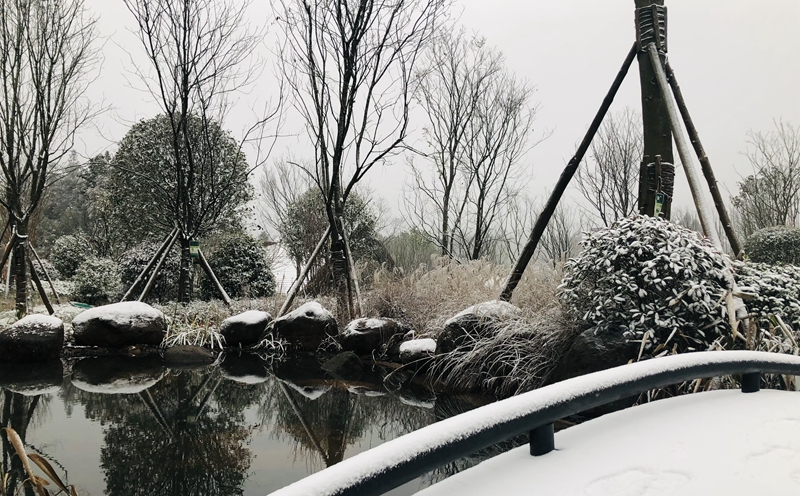 不只有刷爆朋友圈的雪景,带你走进真正的金龙云海!(图4) 不只有刷爆朋友圈的雪景,带你走进真正的金龙云海!(图4)