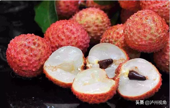 又是一年荔枝红|合江龙潭荔枝与你不见不散(图3) 又是一年荔枝红|合江龙潭荔枝与你不见不散